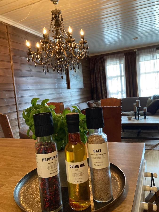 Bo Lunt Og Koselig Pa Filefjell Apartamento Tyinkrysset Exterior foto