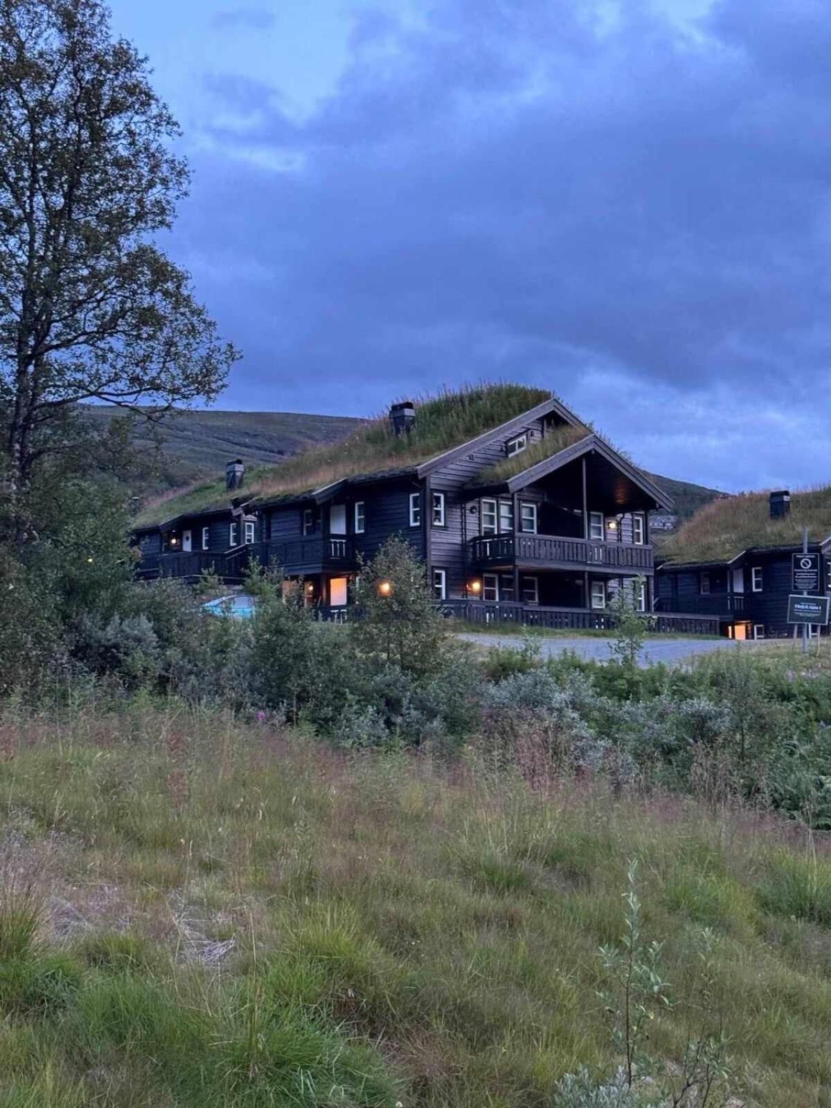 Bo Lunt Og Koselig Pa Filefjell Apartamento Tyinkrysset Exterior foto